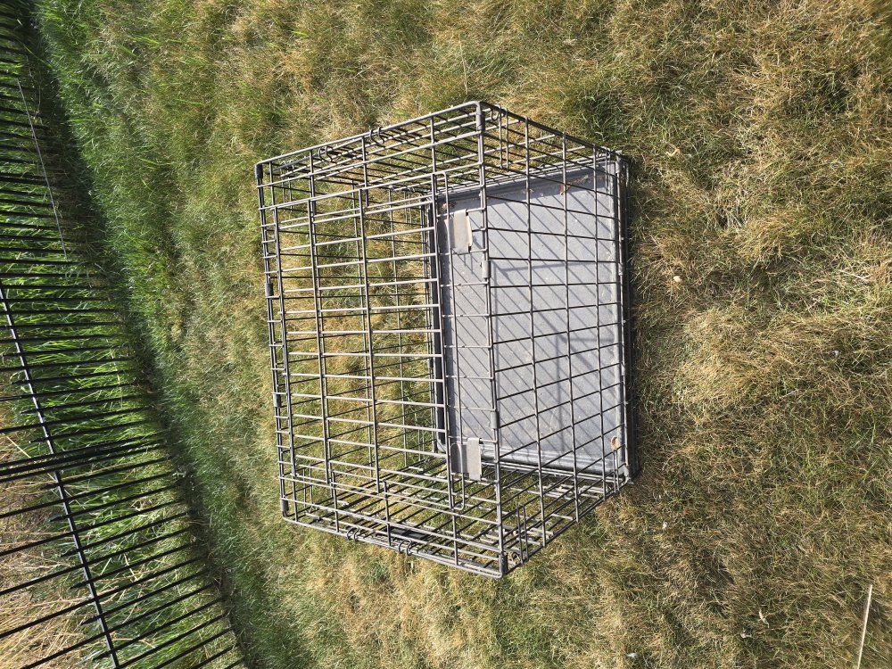 Pet Crate