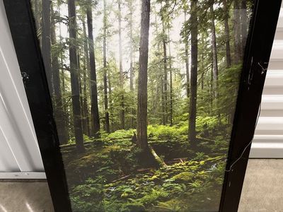 Framed Forest Wall Art - Large Nature Landscape Picture for Home Decor