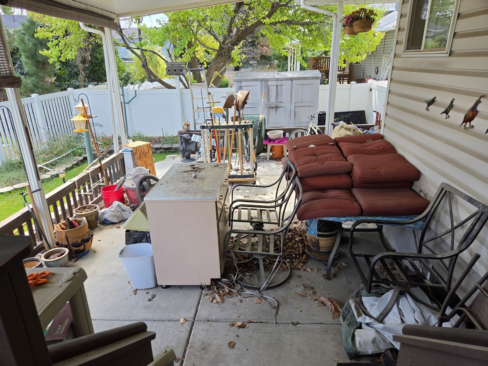 Main image 23