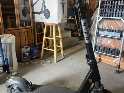 BirdFlex Electric Scooter - Black, Portable