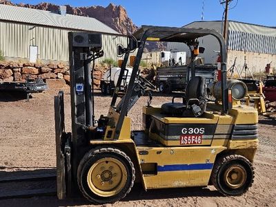 Daewoo G300S Indoor and Outdoor Forklift