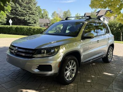 2015 Volkswagen Tiguan 2.0T Limited S