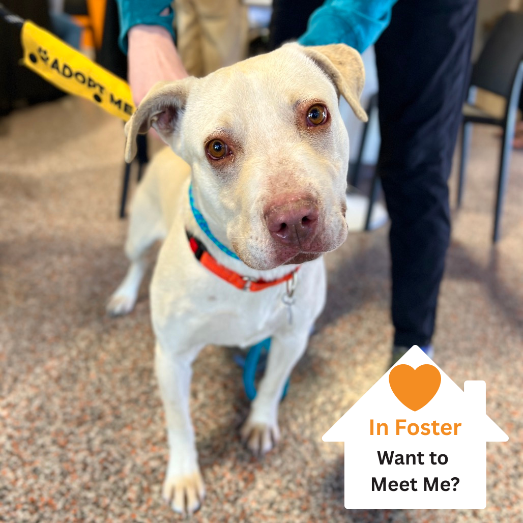 Hello my name is Daryl