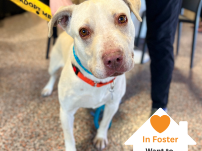 Hello my name is Daryl