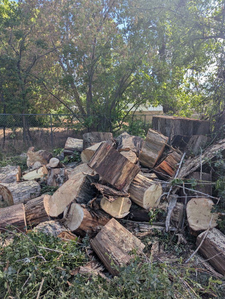FREE Wood