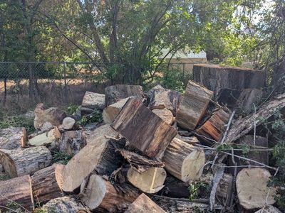 FREE Wood