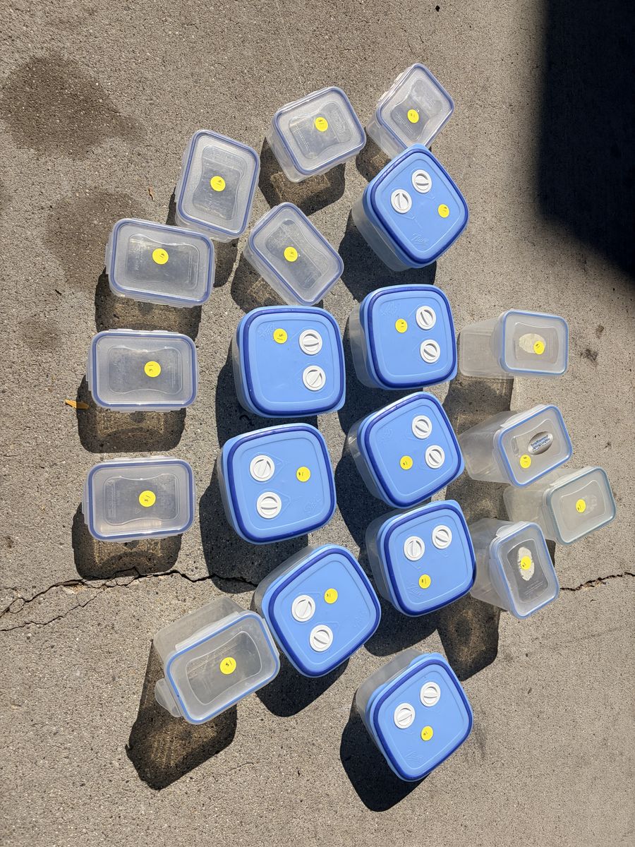 Camping or household food storage containers.
