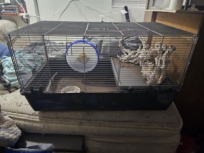 Rat Cage with Extras