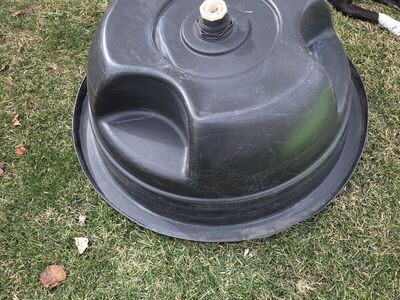 35 gallon pond plant