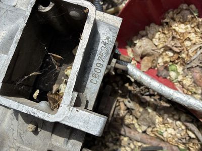 T4 VW bus short block