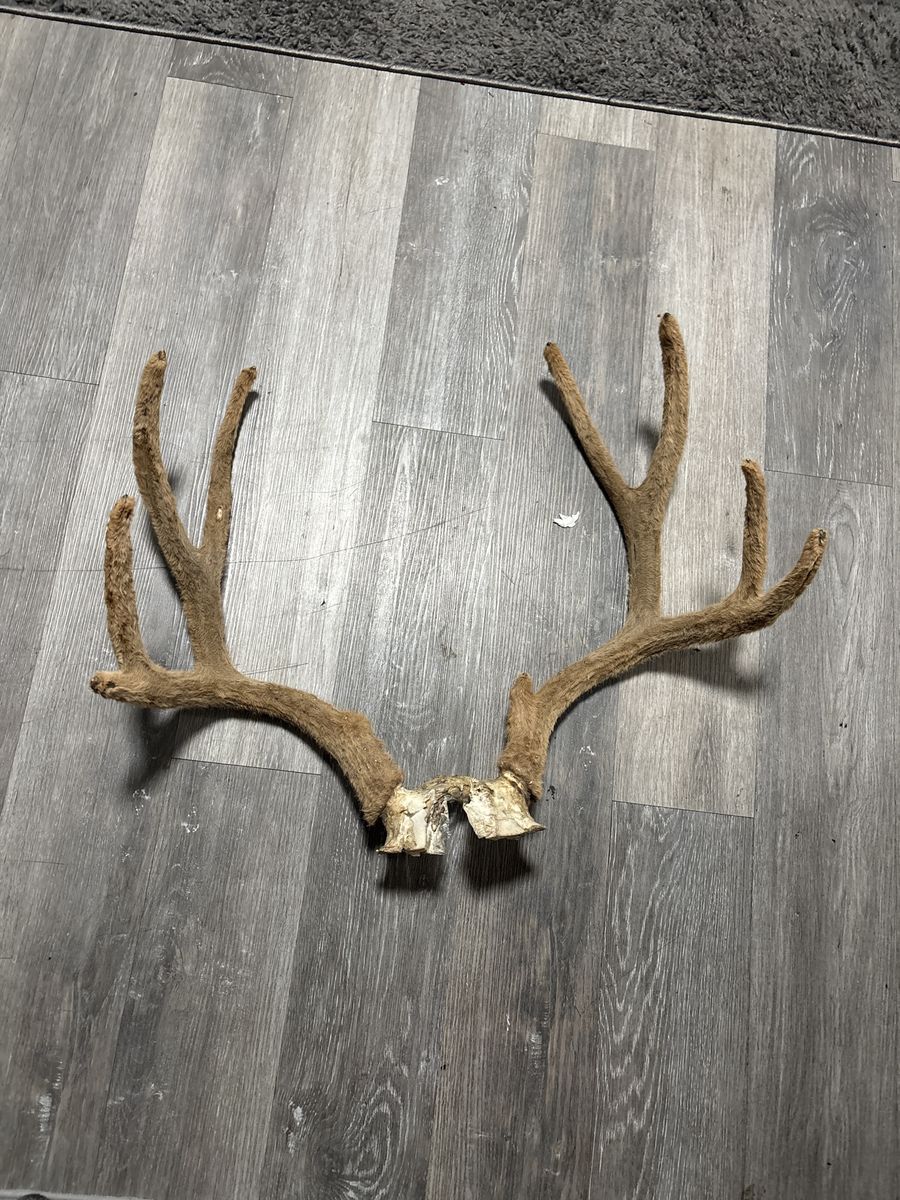 Felt dead head