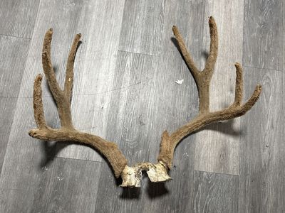 Felt dead head