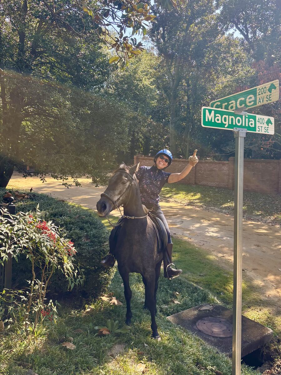 Gaited, grey, sane, sound  LOOOng video