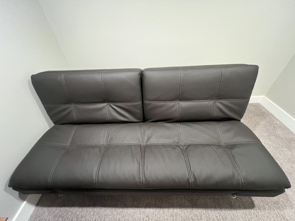 Leather Couch Futon
