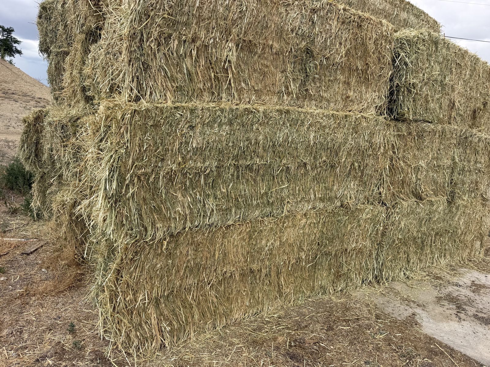 Prosper 3-Way Hay Bales - 3x3x8 ft for Livestock Feed