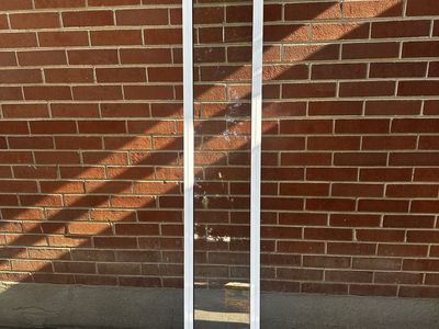 Doggie Door