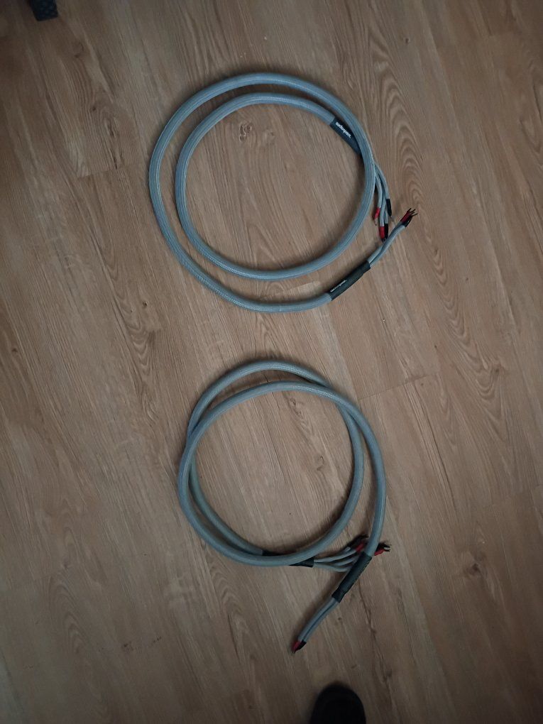 AudioQuest Clear Speaker Cables - 6ft Matched Stereo Pair (Set of 2 Wires)