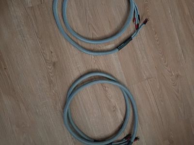 AudioQuest Clear Speaker Cables - 6ft Matched Stereo Pair (Set of 2 Wires)