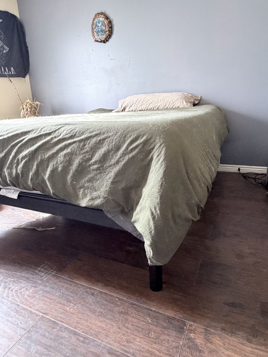 Purple Queen Adjudtable Base