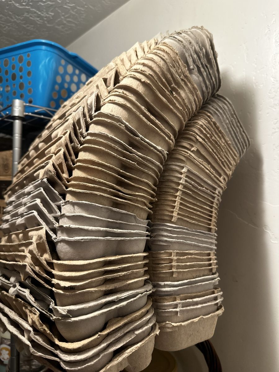 40 Clean Empty Paper Egg Cartons