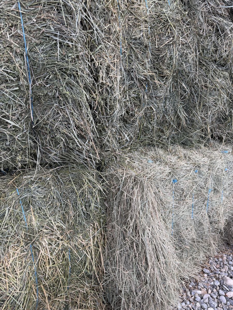 3x4 Alfalfa/Grass Mix