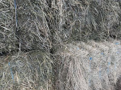 3x4 Alfalfa/Grass Mix