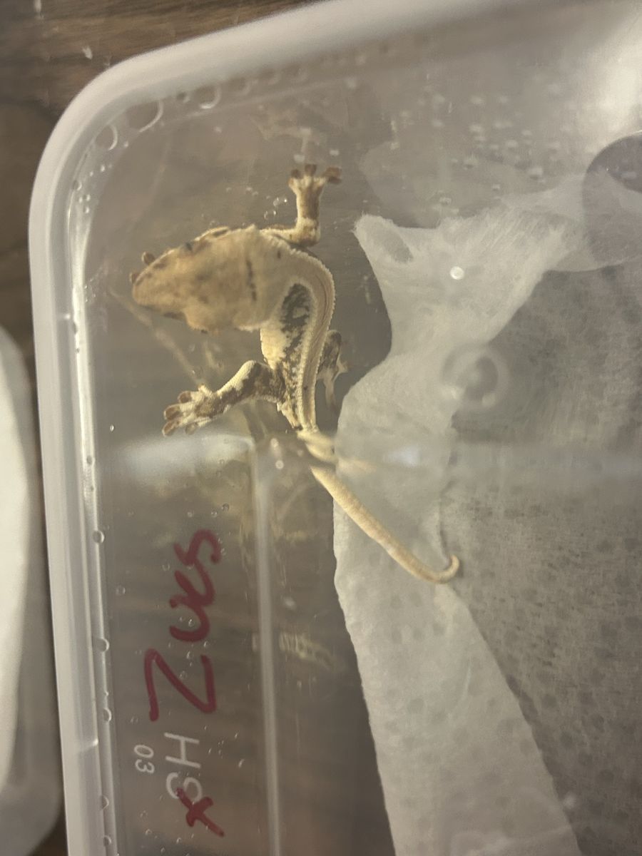 Main image 3