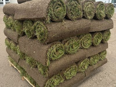 Premium Kentucky Bluegrass Sod (No Pallet Fees)