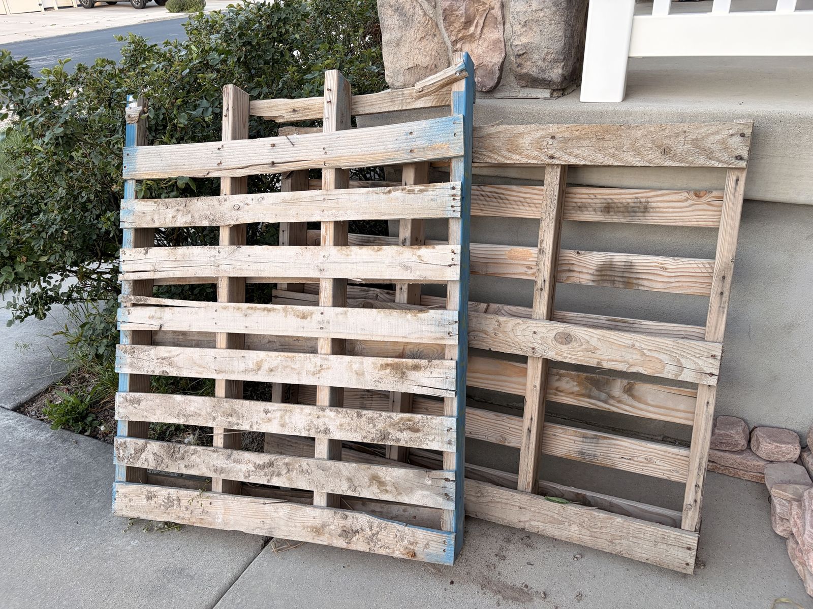 FREE wood pallets (x2)