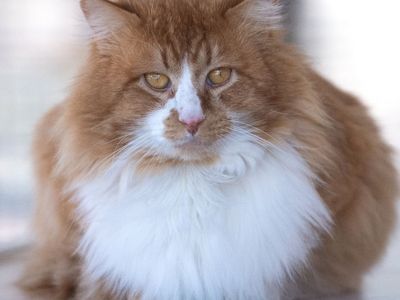 Hello my name is Torres