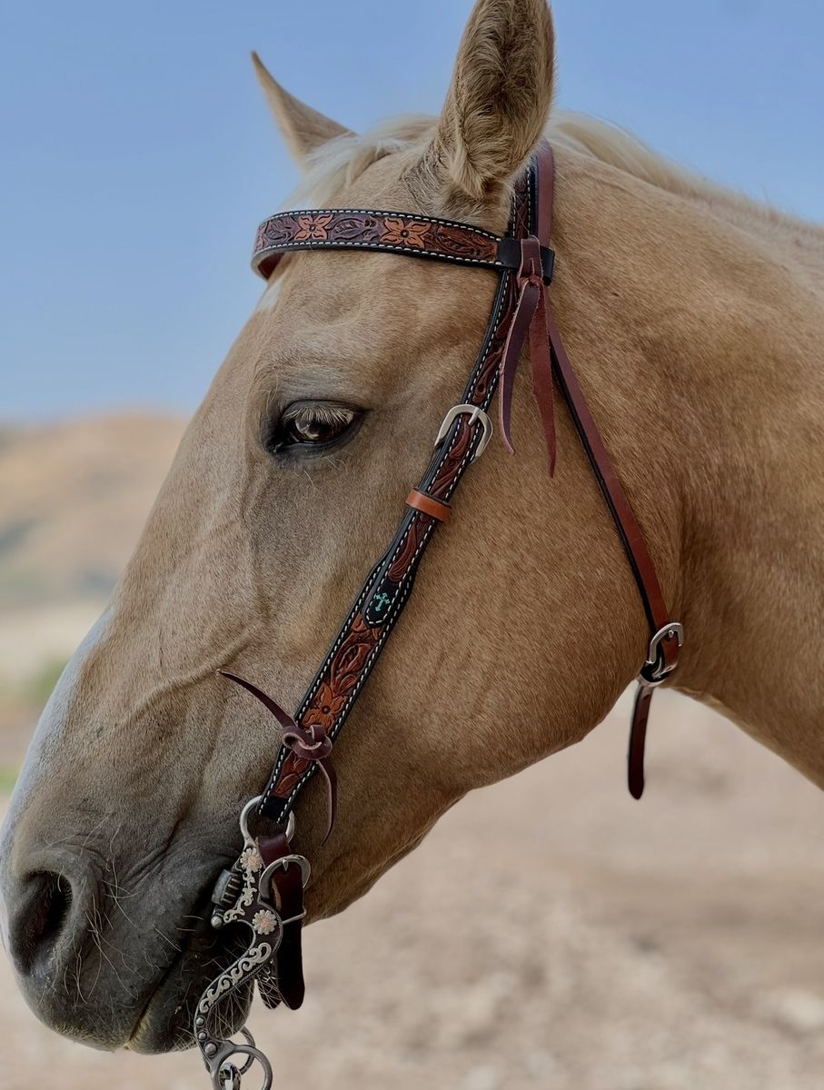 Palomino Mare Gentle Family Horse