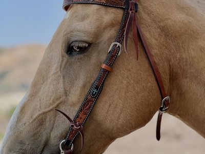 Palomino Mare Gentle Family Horse