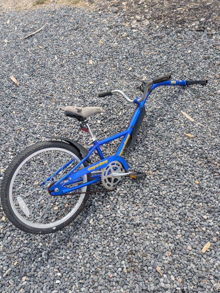 Cycle Design Tag A Long Kids Trailer Bike