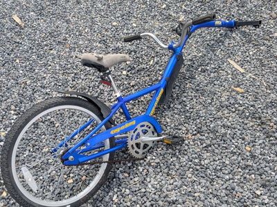 Cycle Design Tag A Long Kids Trailer Bike