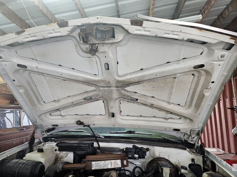 1990 Chevy Truck Hood