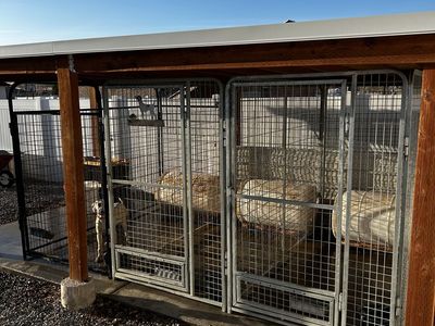 3 Kennel Dog Run