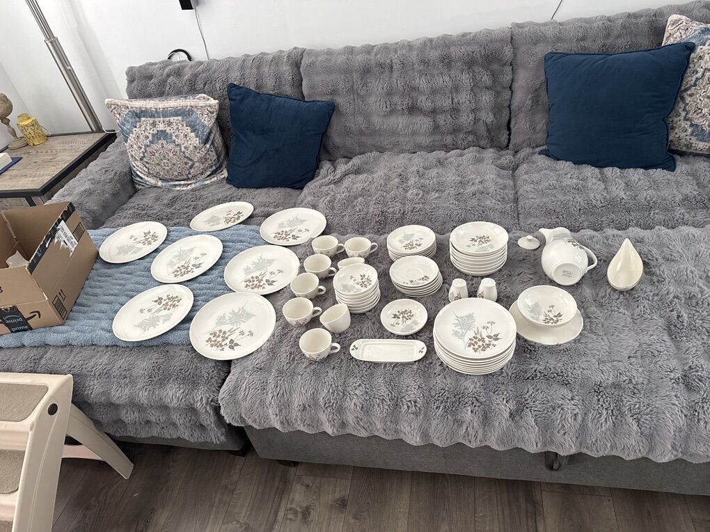 “Vintage Celestial Fine China Set, Fernwood