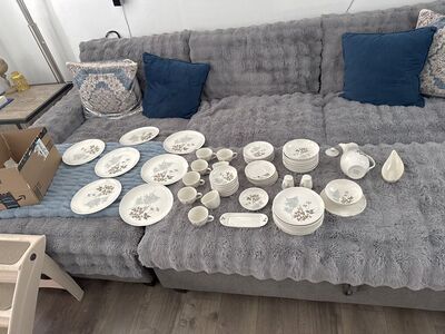 “Vintage Celestial Fine China Set, Fernwood