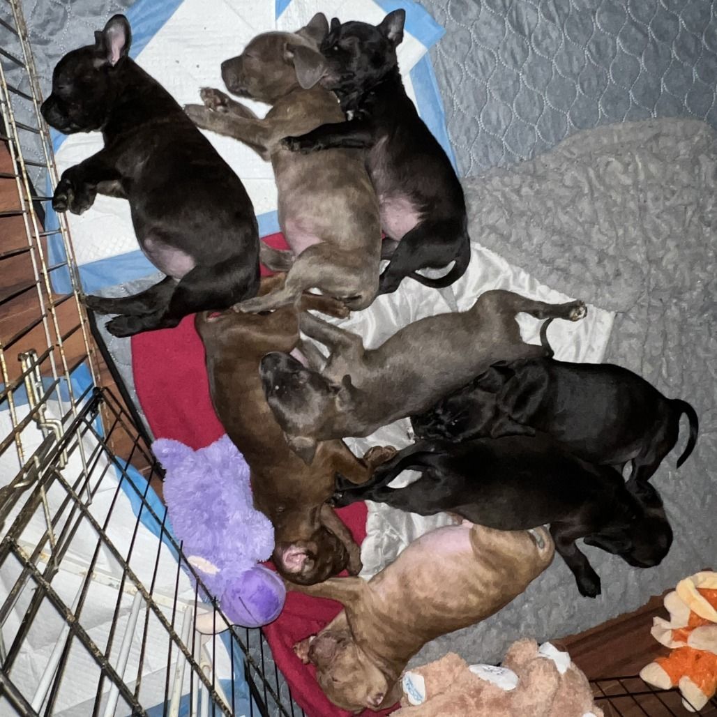 Main image 3