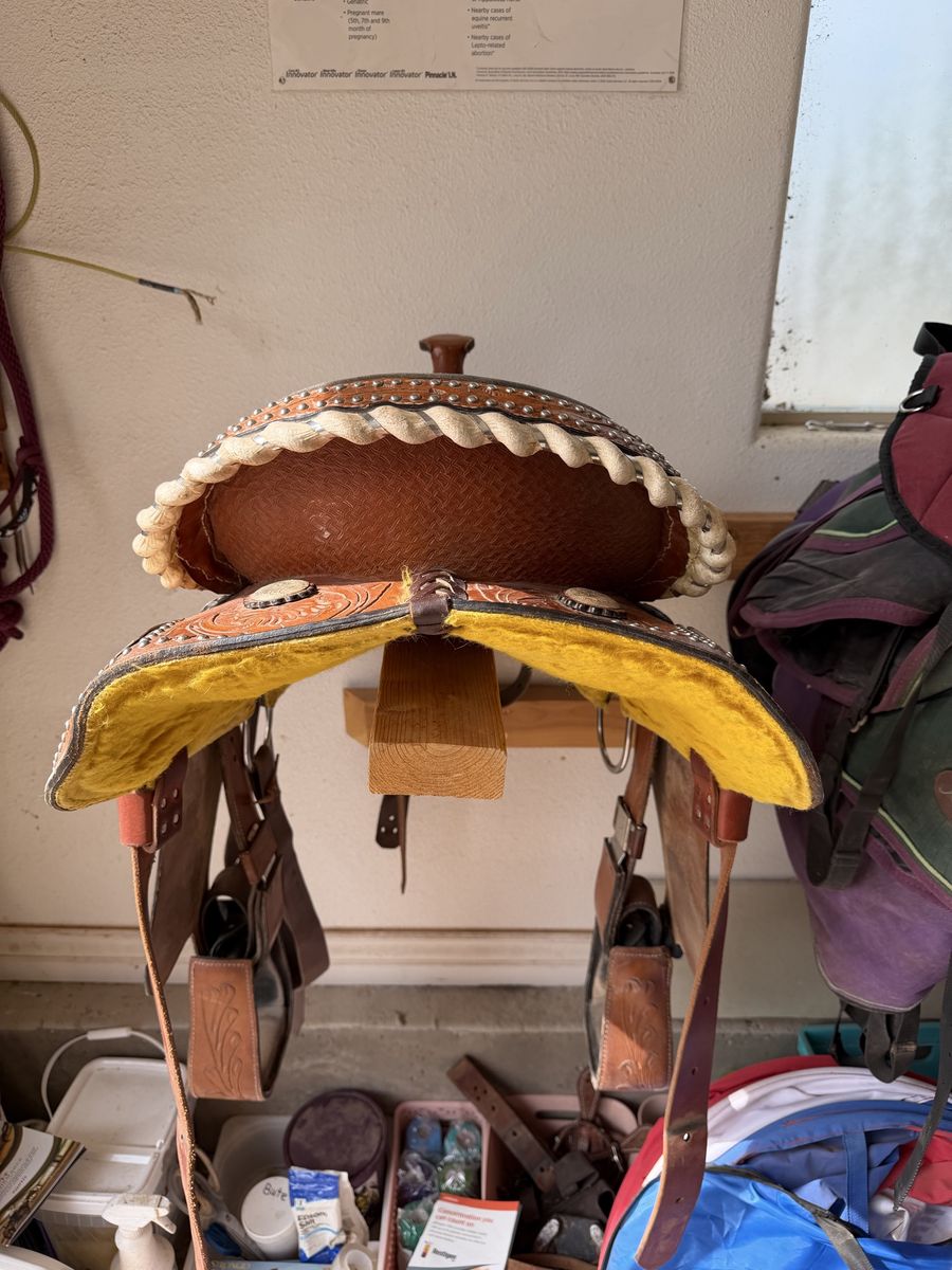 Main image 6
