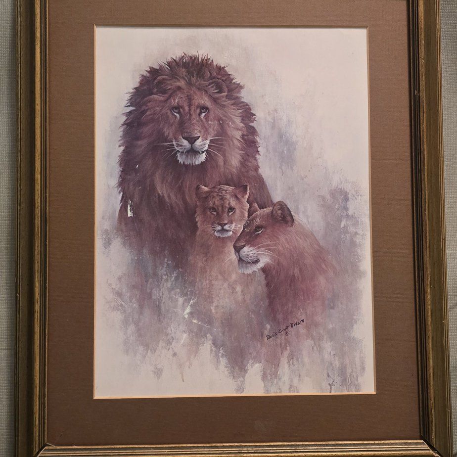 Picture of lions