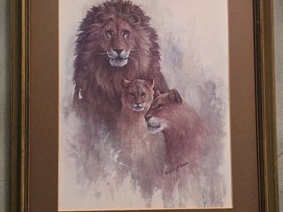Picture of lions