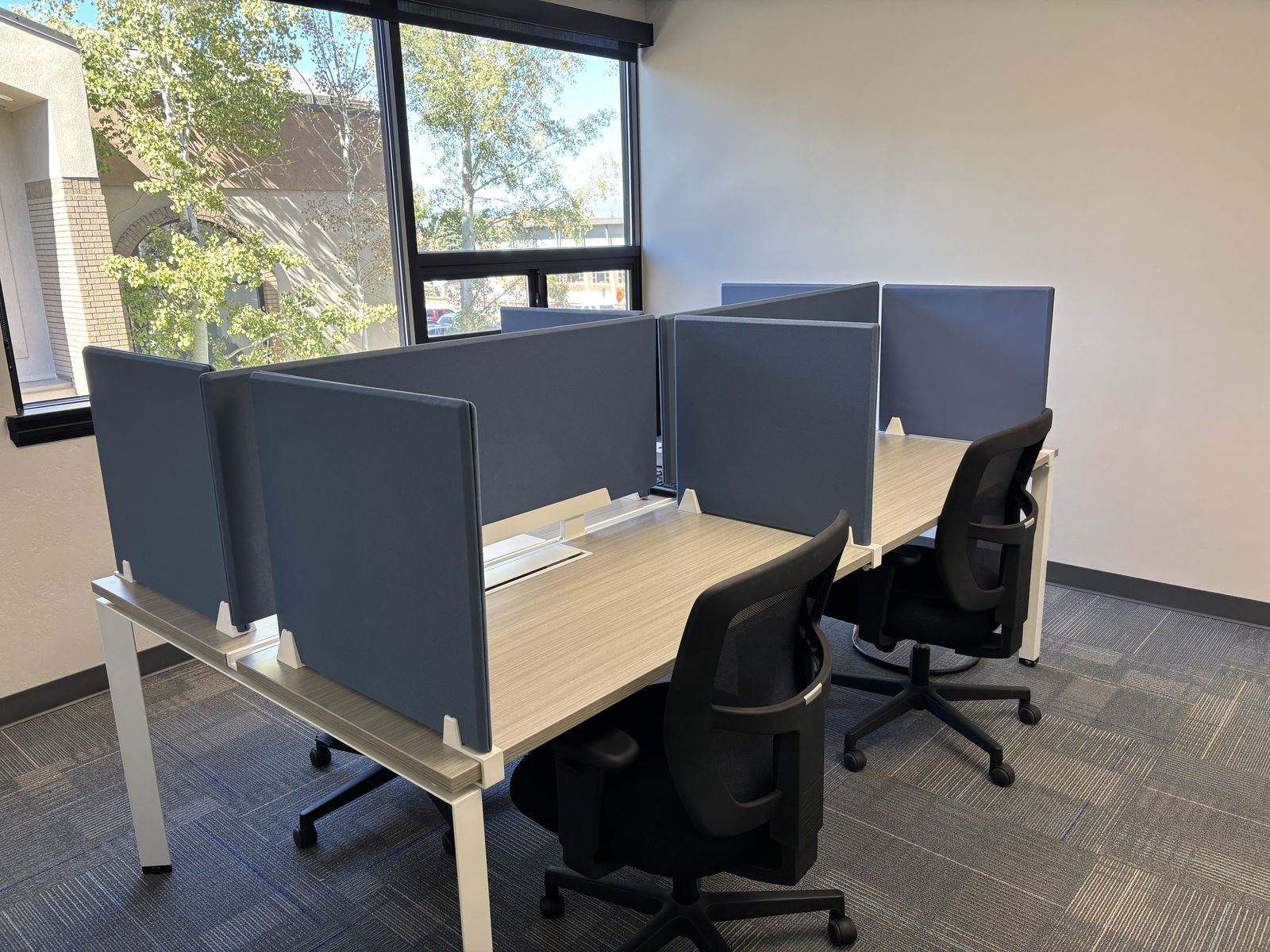 Co-Working with a Mountain View!