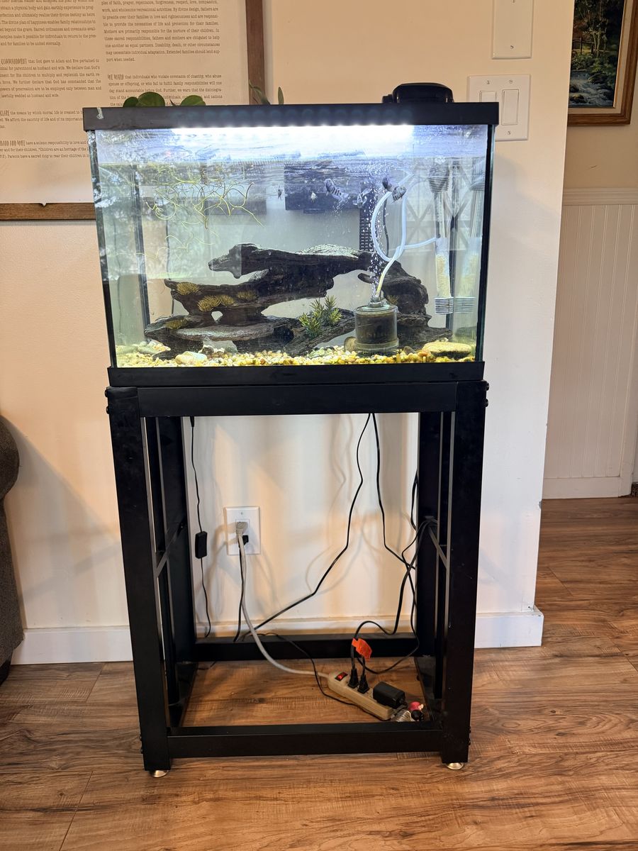 Fish tank, stand and fish