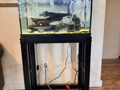 Fish tank, stand and fish