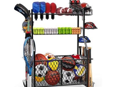 Ball organizer
