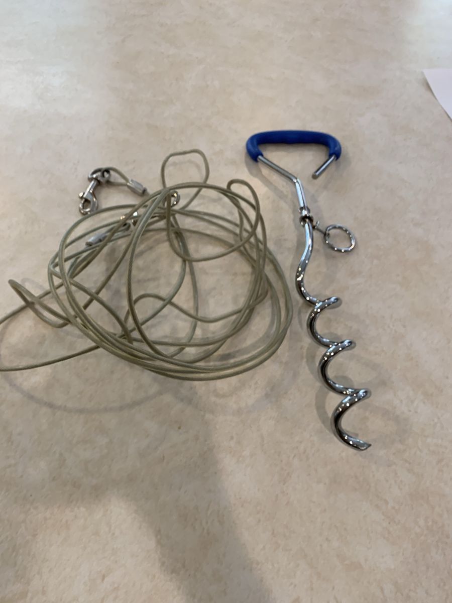Dog tether