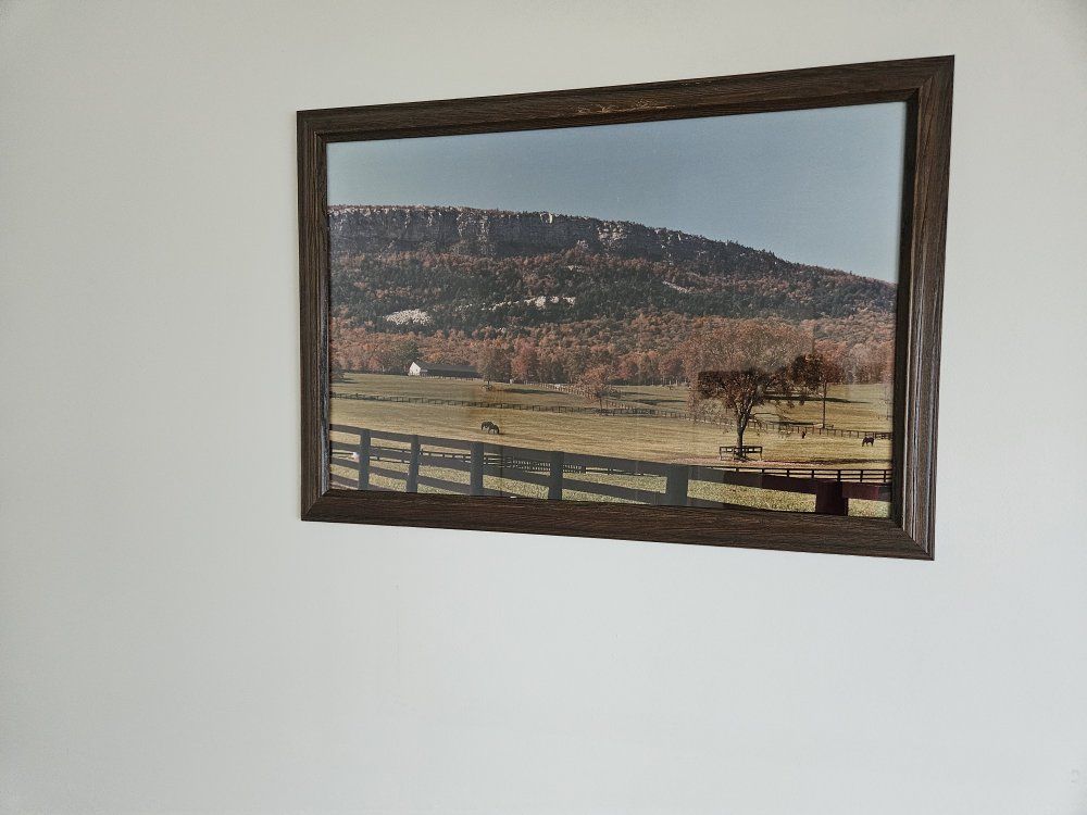 Framed Landscape Wall Art - Scenic Mountain & Horse Pasture Print