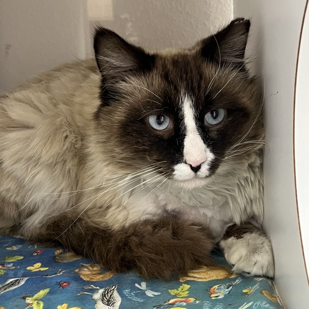 Hello my name is Tupac