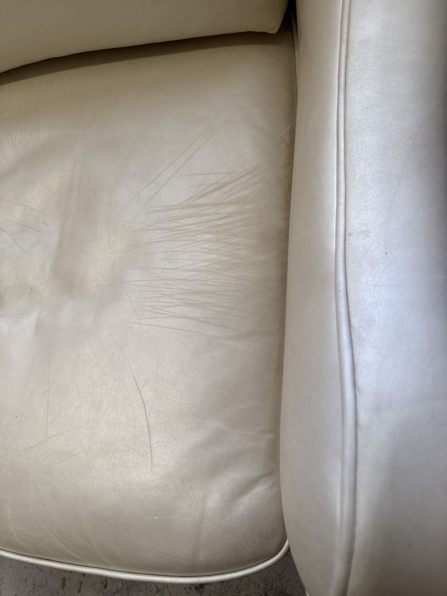 Main image 5